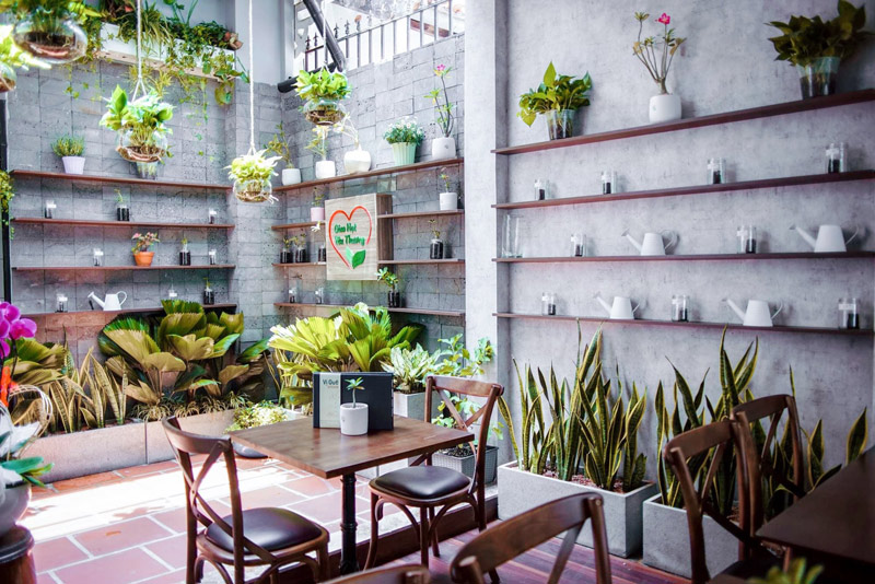 Vi Que Kitchen brings vegan cuisine closer to Vietnamese people 6