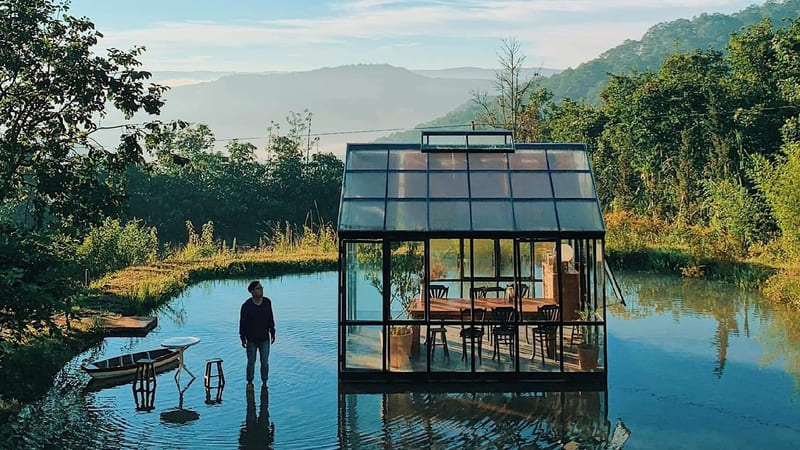 Dreamy cafes in Da Lat city of thousands of flowers 2