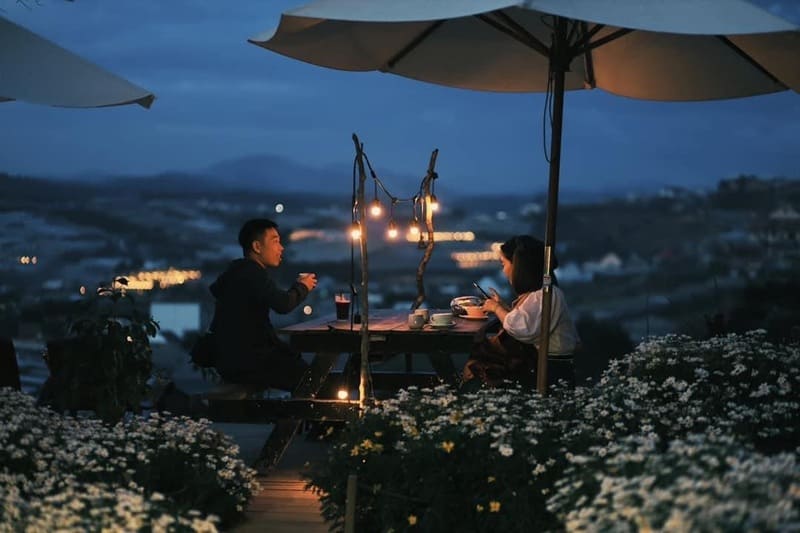 Dreamy cafes in Da Lat city of thousands of flowers 7