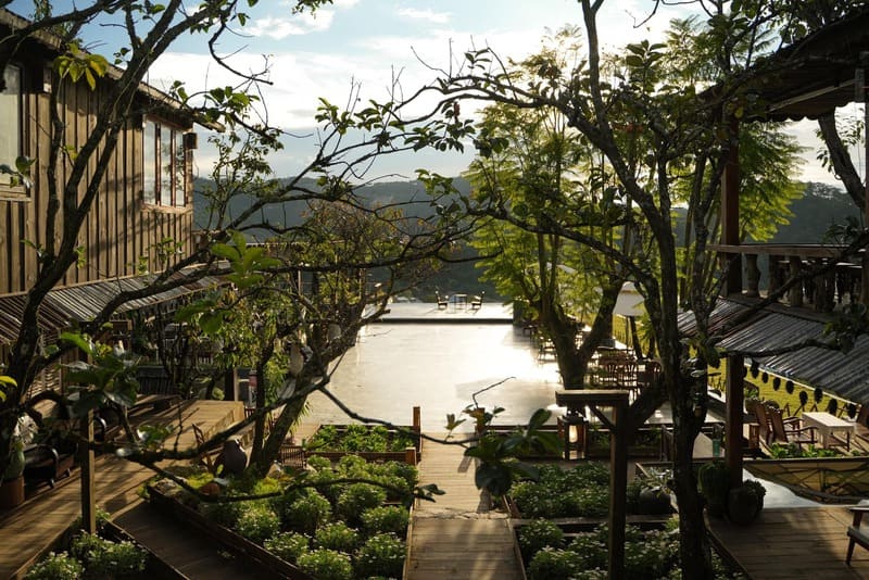 Dreamy cafes in Da Lat city of thousands of flowers 8