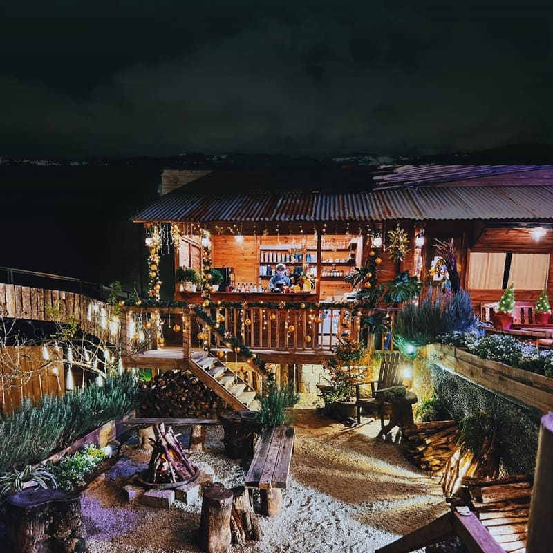 Dreamy cafes in Da Lat city of thousands of flowers 9