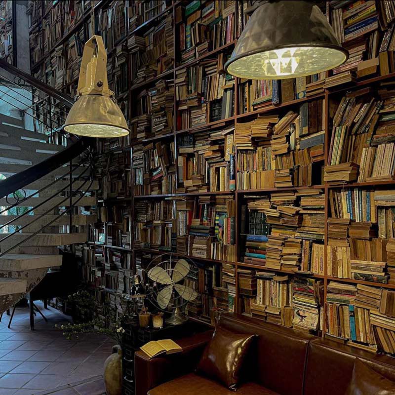 Enjoy a Cafe, explore the cafe with a giant wall of books 8