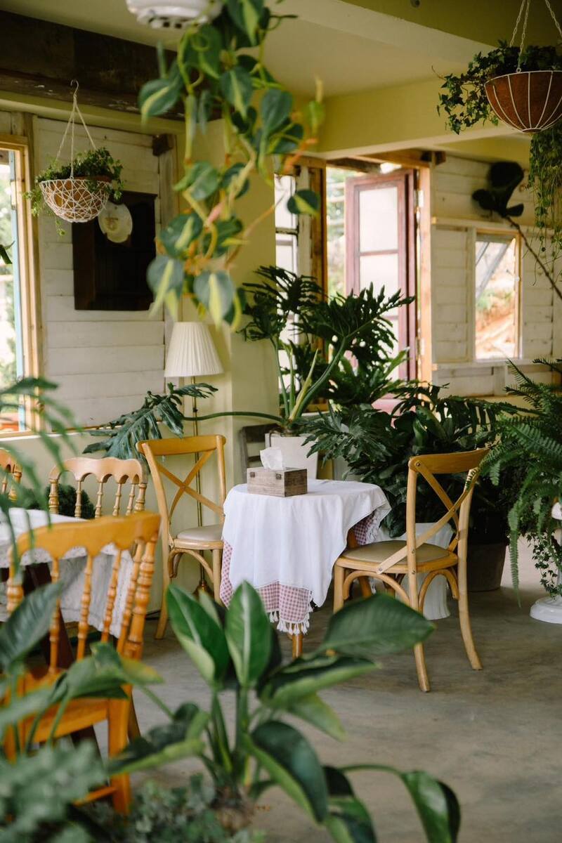 Review of the warm and sweet Blue Dream Bread bakery in Da Lat 6