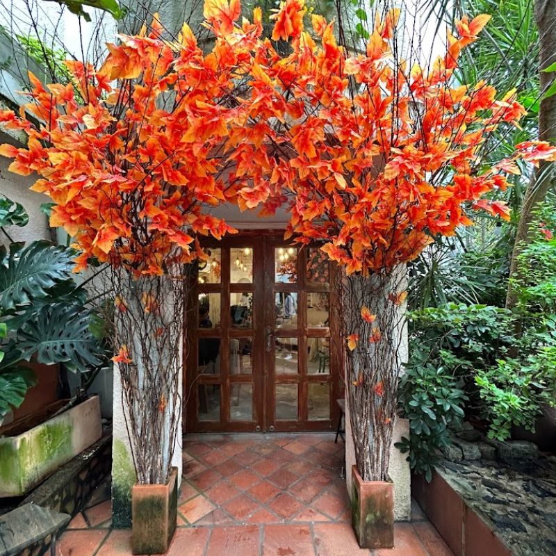 Check-in for Christmas at Caramew Cafe, a classic European villa 3