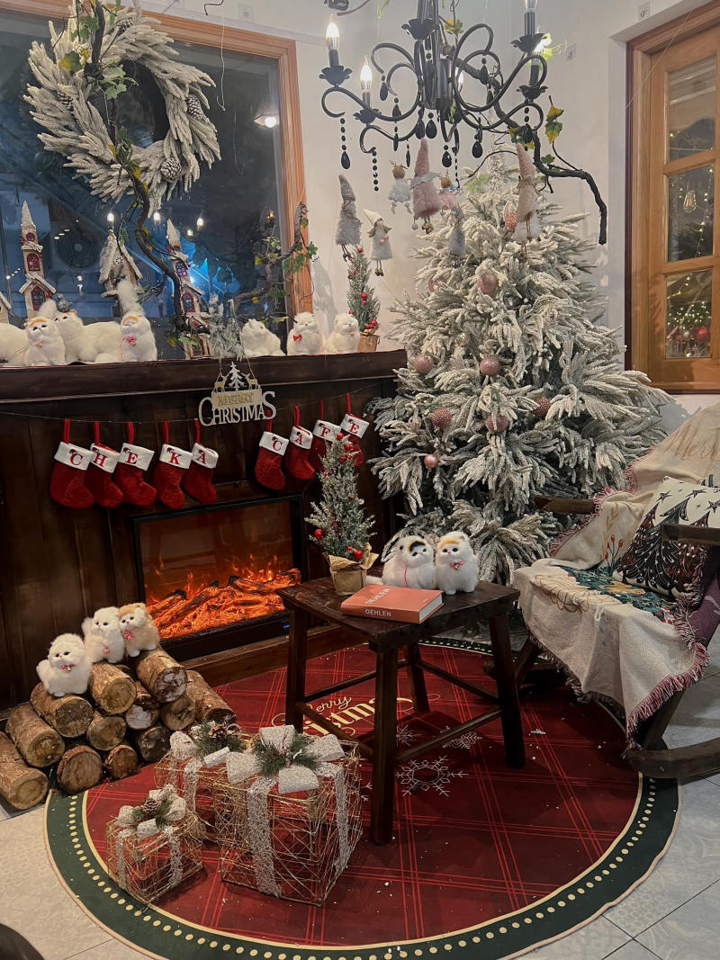 Relax on the weekend at the peaceful Cheka Cafe in the heart of Hanoi 5