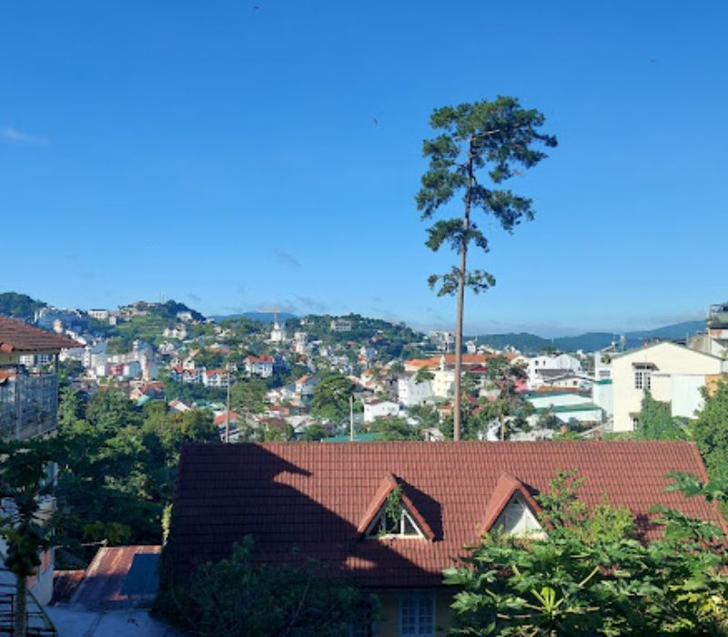 Review of 12 vegetarian buffet restaurants in Dalat for vegetarian food lovers 7