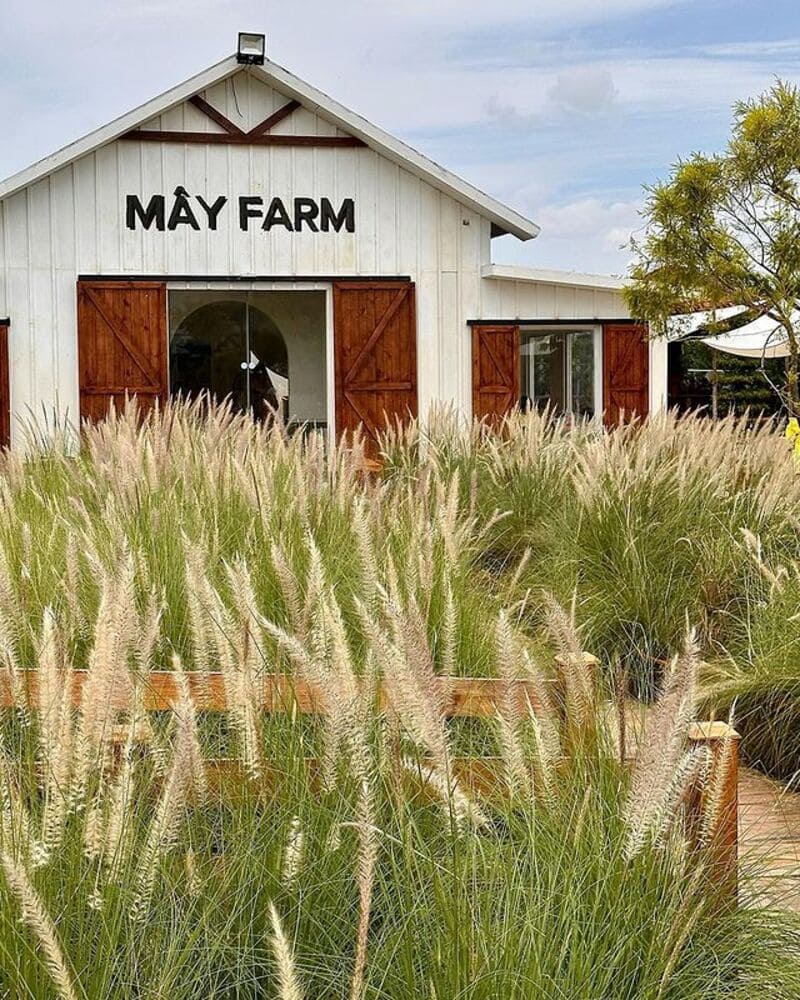 Sip coffee at May Farm with green space in the middle of Saigon 2