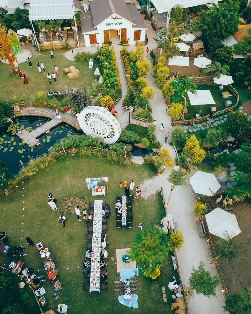 Sip coffee at May Farm with green space in the middle of Saigon 3