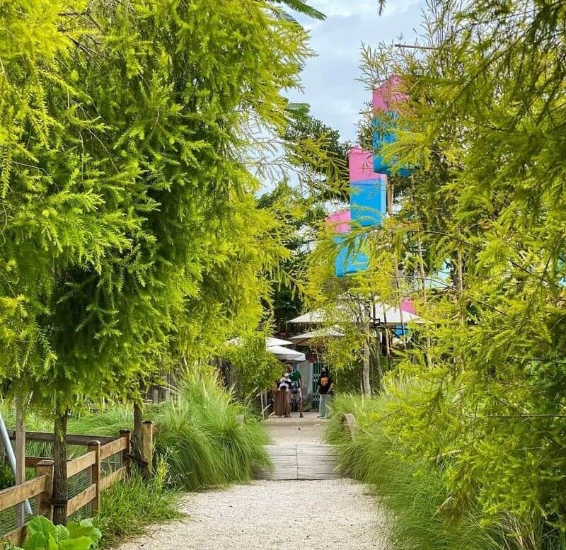 Sip coffee at May Farm with green space in the middle of Saigon 5