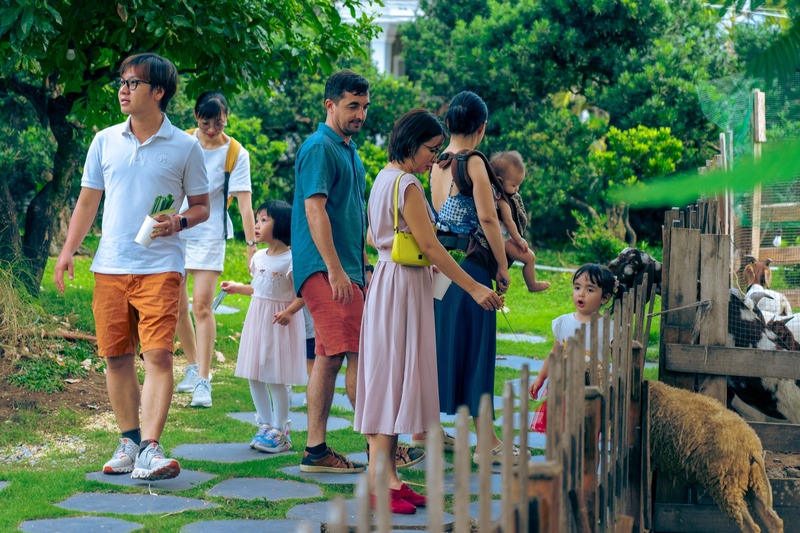 Sip coffee at May Farm with green space in the middle of Saigon 9