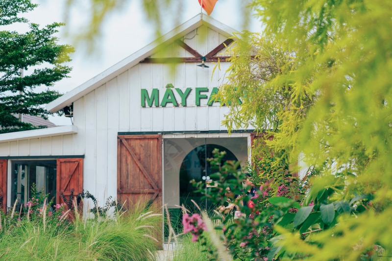 Sip coffee at May Farm with green space in the middle of Saigon 12
