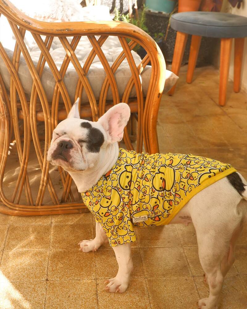 I have a cozy cafe like a small house in the heart of Saigon 3