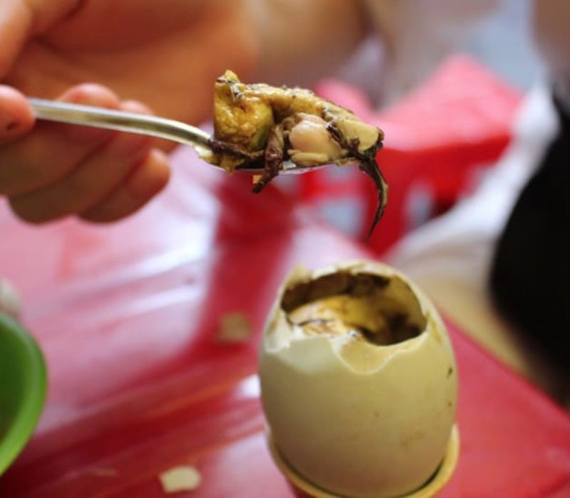 The attraction of Kim Thao balut seeds, a family secret for more than 12 years 6
