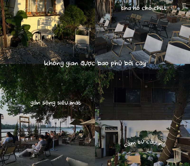 Coffee shop under the trees, sunset paradise in Binh Quoi 3