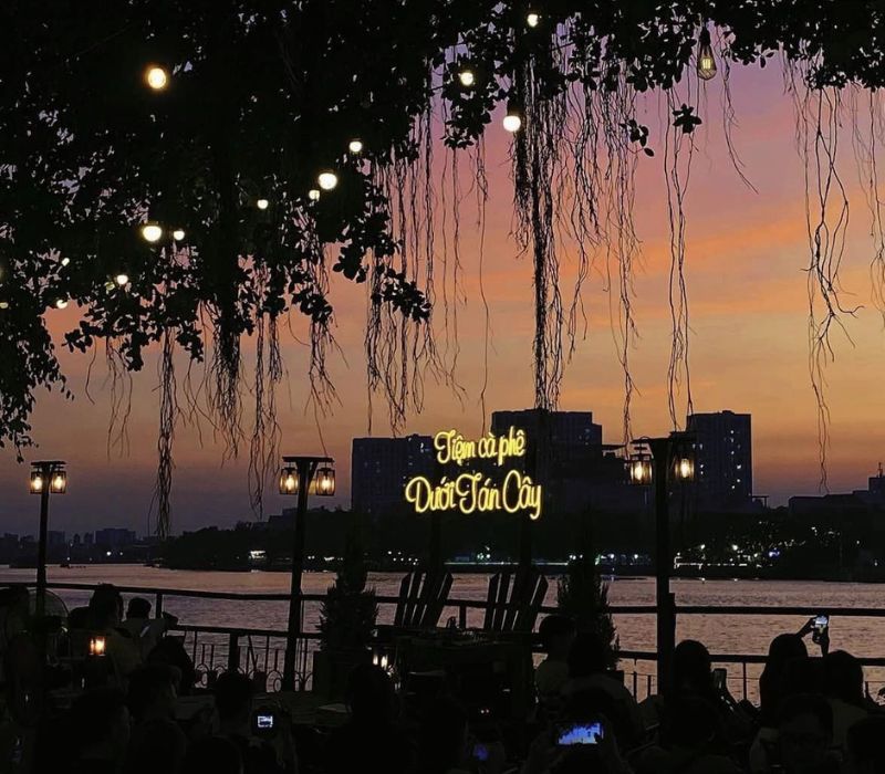 Coffee shop under the trees, sunset paradise in Binh Quoi 8