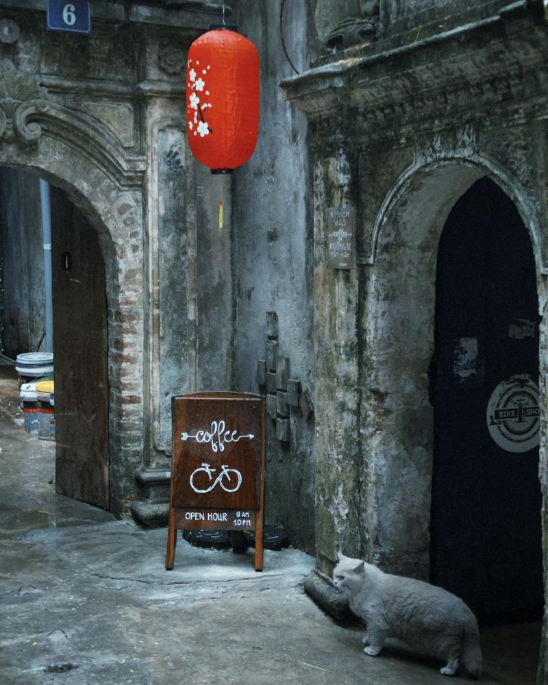 Cafe at the end of the lane, where the souls of love love Trinh 9