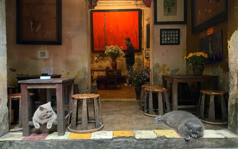 Cafe at the end of the lane, where the souls love Trinh music 7