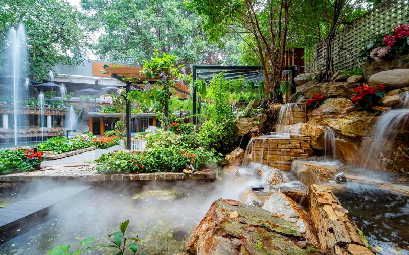 Du Mien Garden Cafe: Sai Thanh Green Cafe 5