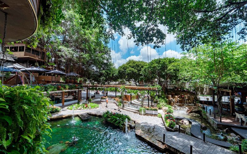 Du Mien Garden Cafe: Sai Thanh 2 green cafe 2