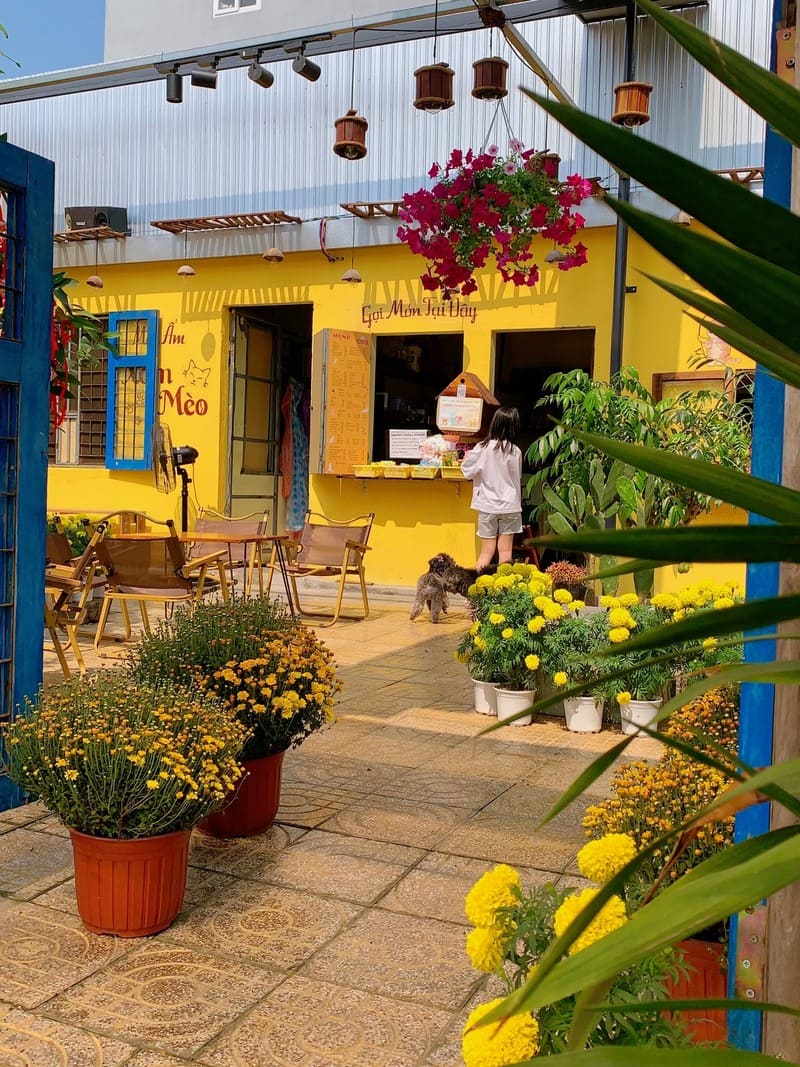 Cat Coffee hamlet, Da Nang: destination for cats love cat 3