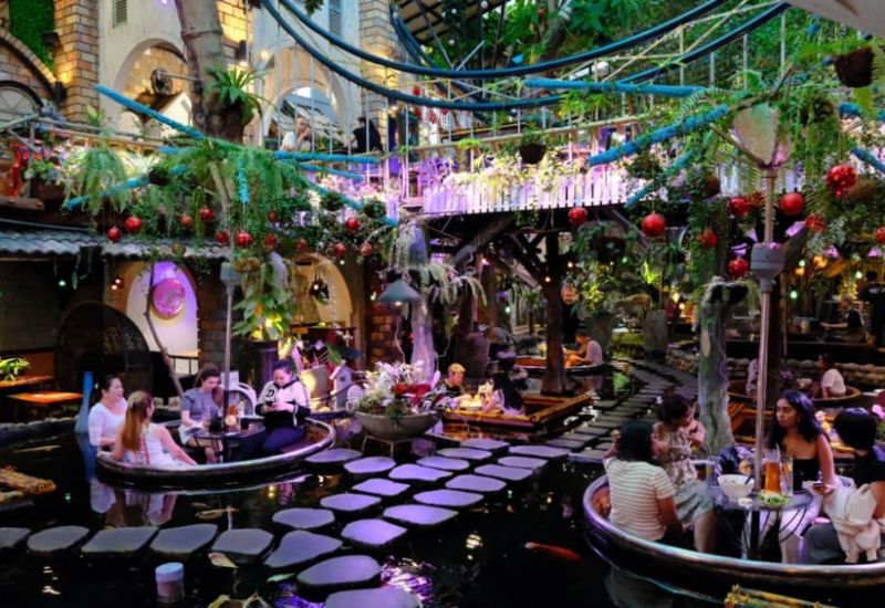 Explore Oasis Cafe: A natural corner in the heart of the city 2