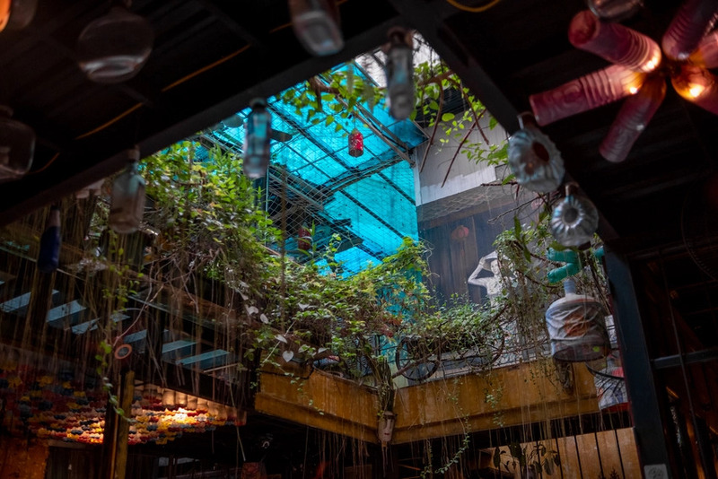 Visit Hidden Gem Coffee Hanoi Experience unique green lifestyle 7