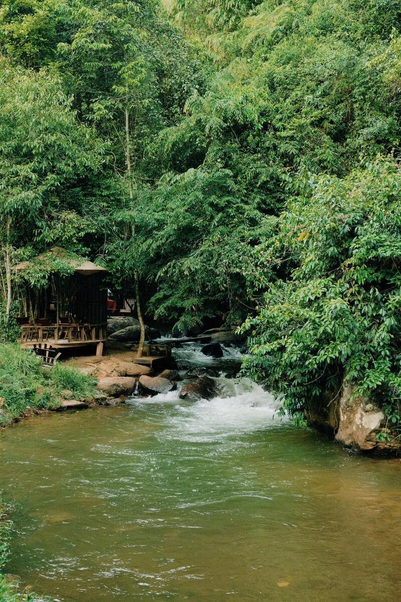 Visit the coffee shop next to the stream in nature 7