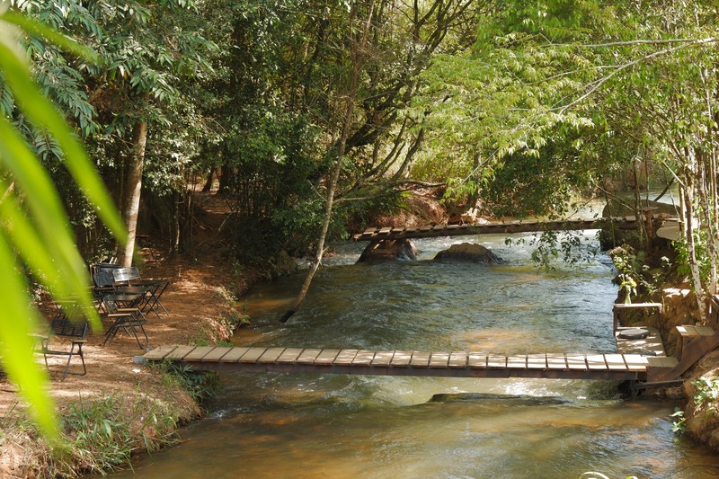 Visit the coffee shop next to the stream in nature 3