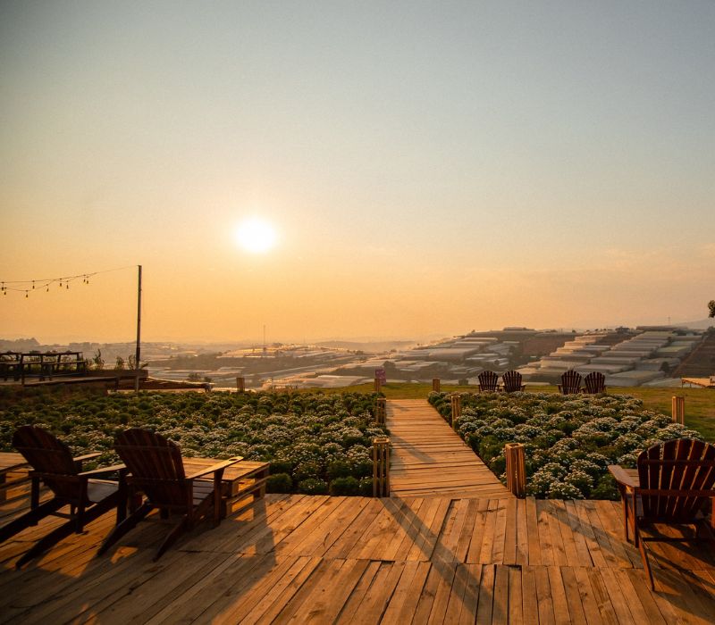 Discovering the twilight of Coffee & BBQ is what special? 10
