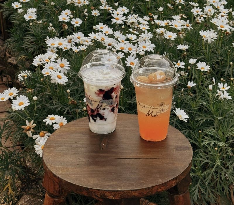 Mo Coffee Story: Genuine shell photography coordinates in Dalat 8