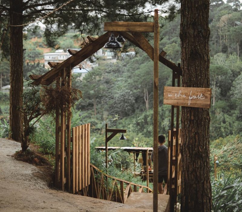 In the Forest Dalat: Cafe in the middle of unique pine forest 3