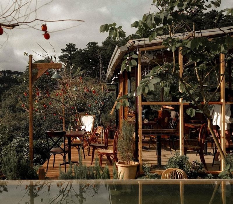 In the Forest Dalat: Cafe in the middle of a unique pine forest 4