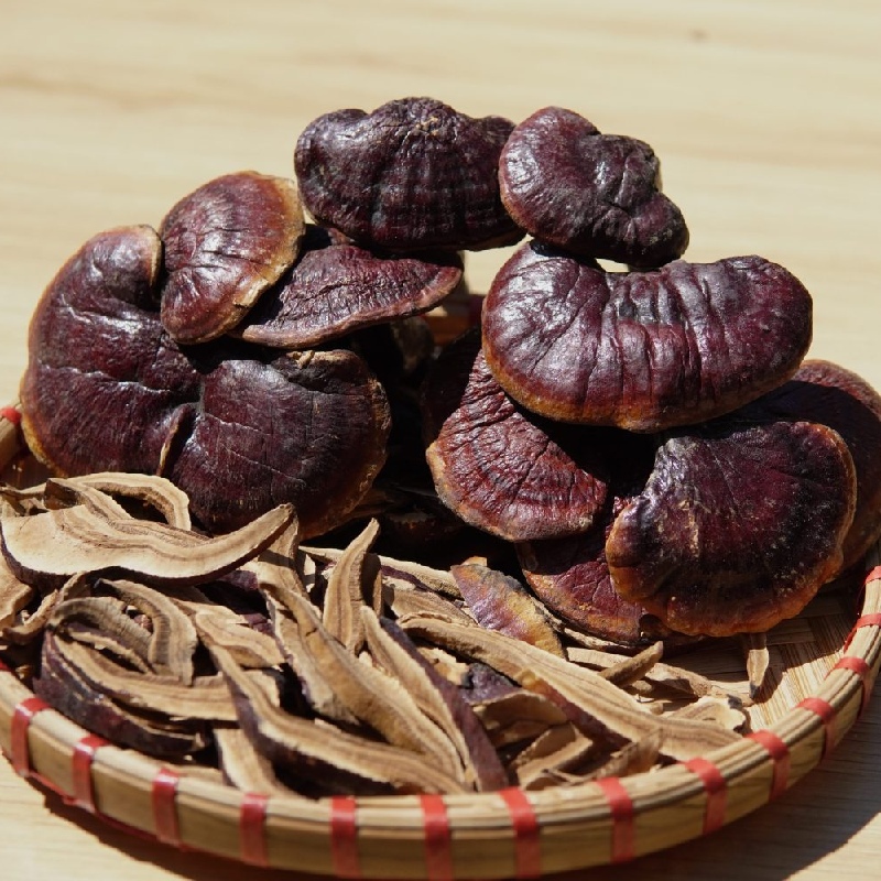 Quang Nam green lim mushroom: precious medicinal herbs from Vietnam forest 7