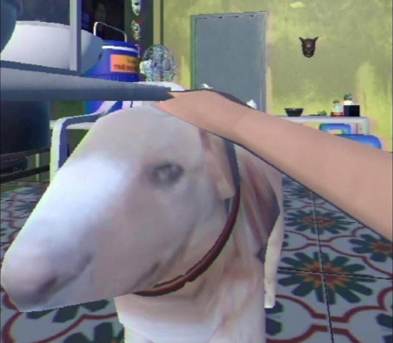 Grilled Beo: The restaurant has a 