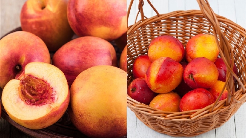 Sapa peaches: Sweet flavor from Northwest mountain rattan 8
