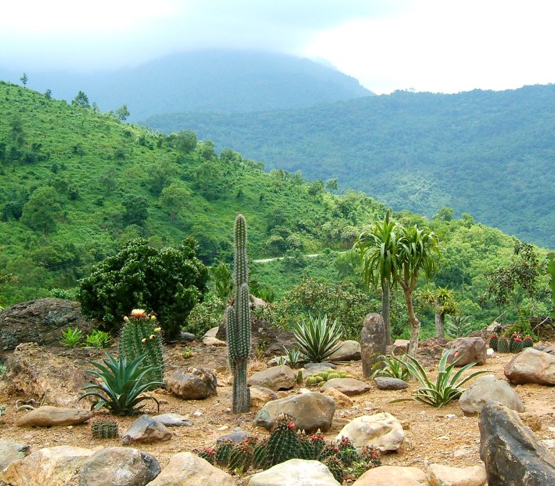 Experience traveling to Ba Vi 1 day on your own 4