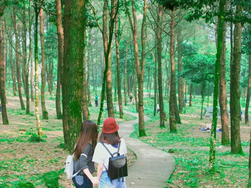 Ba Vi travel experience 2 days 1 night self-sufficient from A - Z 5