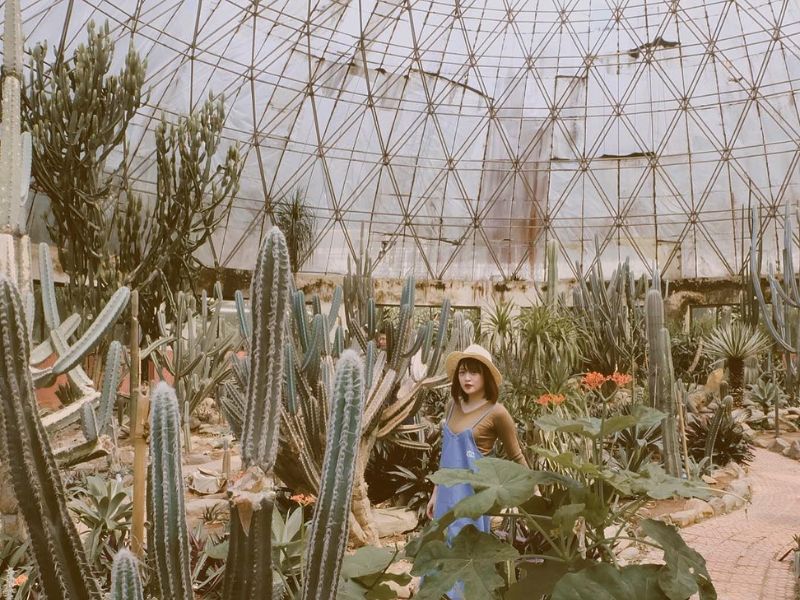 Ba Vi travel experience 2 days 1 night self-sufficient from A - Z 4