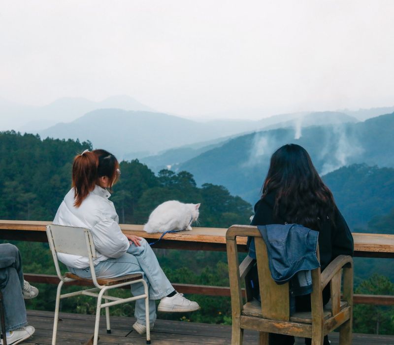 Hidden Land Da Lat: What is a paradise hidden among the mountains and forests? 4