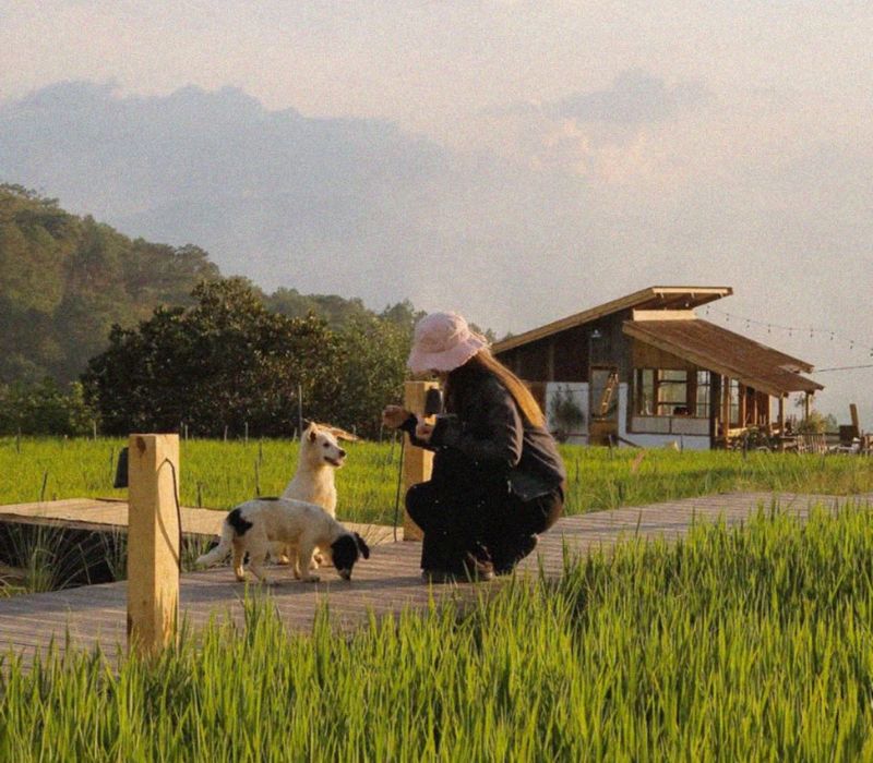 Hidden Land Da Lat: What is a paradise hidden among the mountains and forests? 3