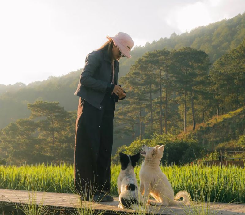 Hidden Land Da Lat: What is a paradise hidden among the mountains and forests? 6