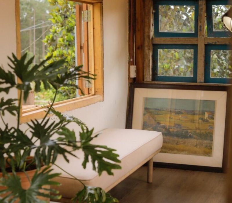 Hidden Land Da Lat: What is a paradise hidden among the mountains and forests? 5