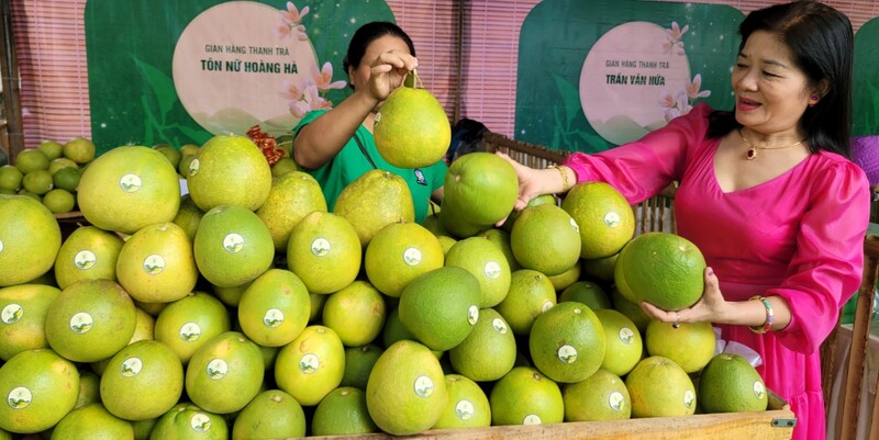 Hue Thanh Tra fruit: A cool specialty with the flavor of the Perfume River 13