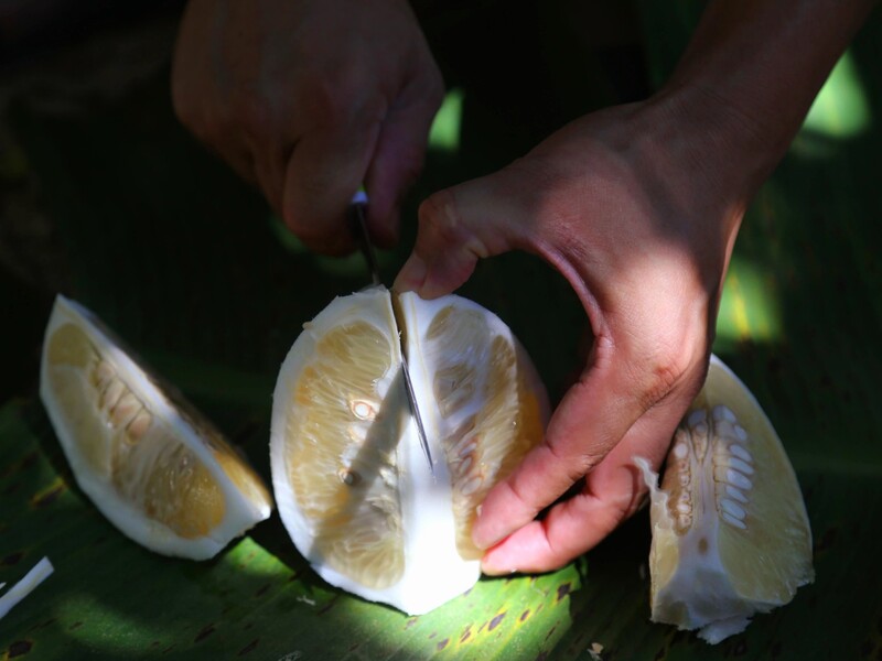 Hue Thanh Tra fruit: A cool specialty with the flavor of the Perfume River 4