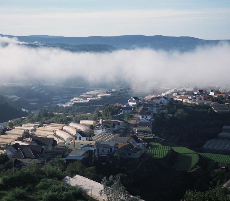 On Cloudy Hill Da Lat Coffee, a healing place in the middle of the pine forest 4