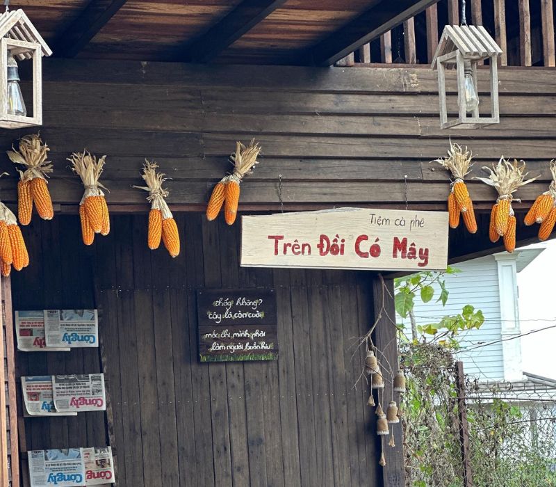 On Cloudy Hill Da Lat Coffee, a healing place in the middle of the pine forest 3