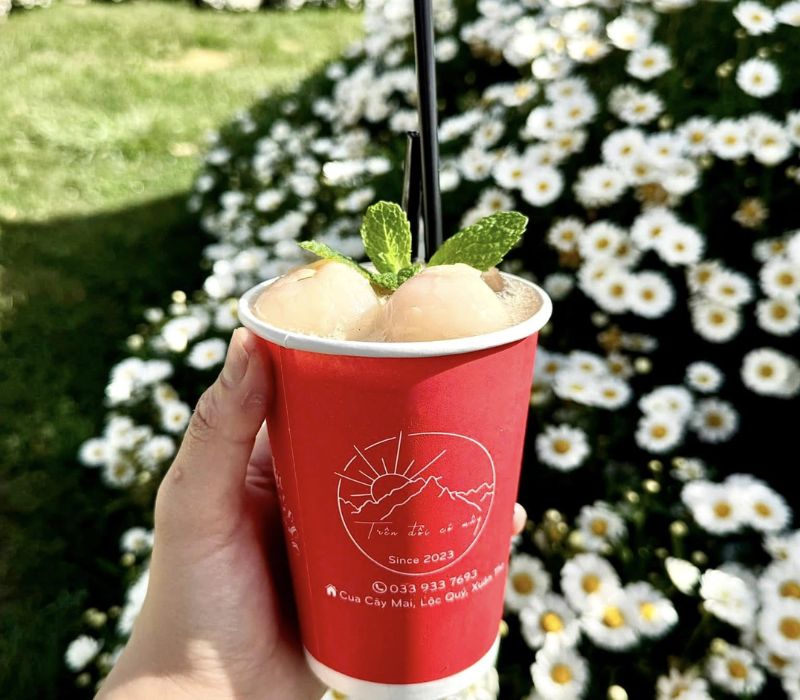 On Cloudy Hill Da Lat Coffee, a healing place in the middle of the pine forest 5