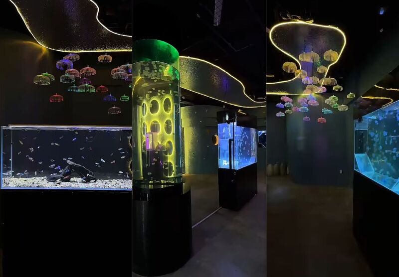 Alien Coffee: The first jellyfish aquarium cafe in Saigon 2