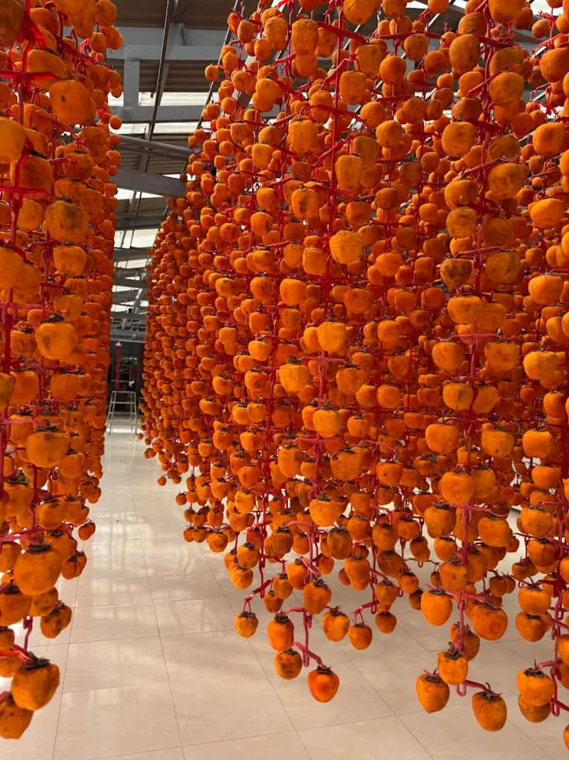 Dalat wind-hanging persimmon: A nostalgic specialty gift of the land of dreams 6