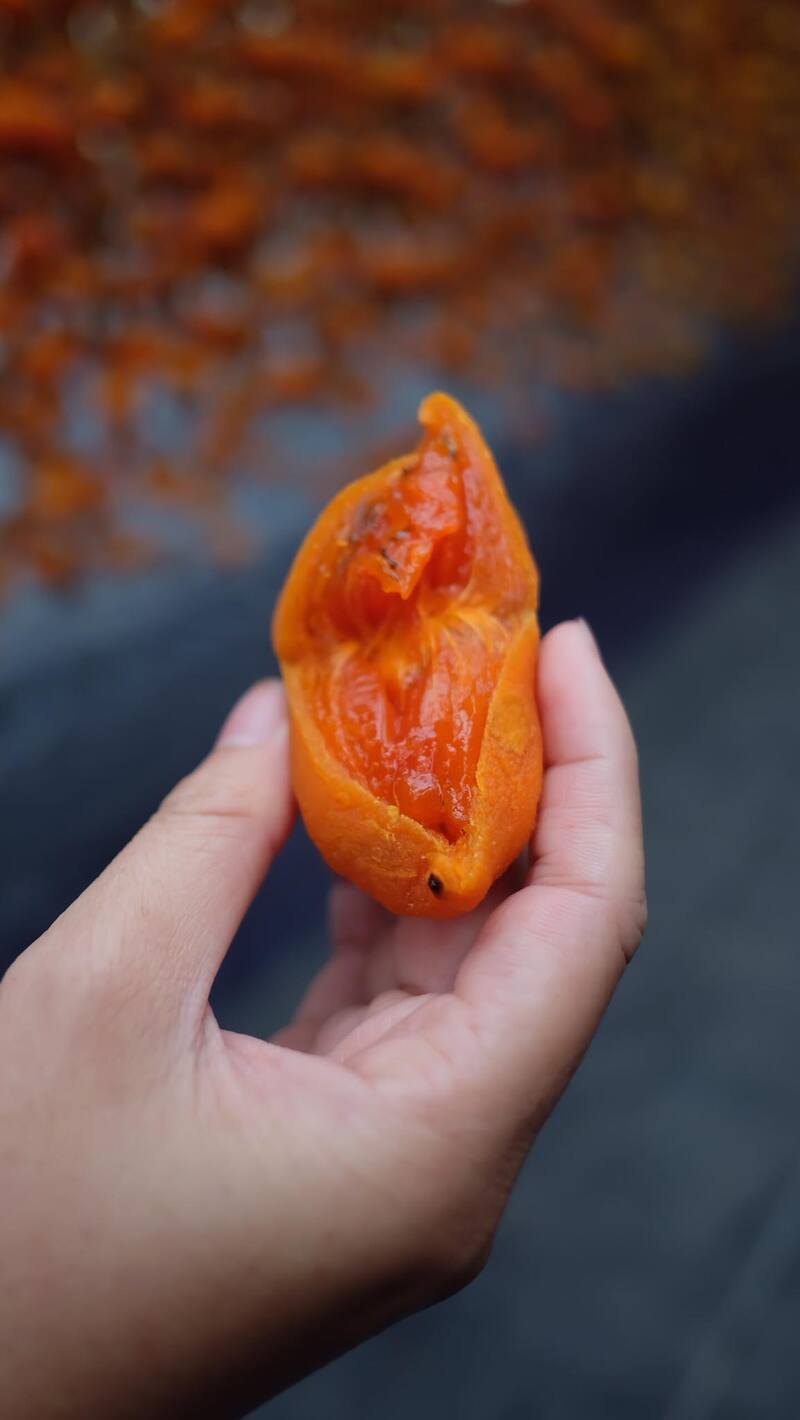 Dalat wind-hanging persimmon: A nostalgic specialty gift of the land of dreams 10